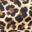 Leopardo